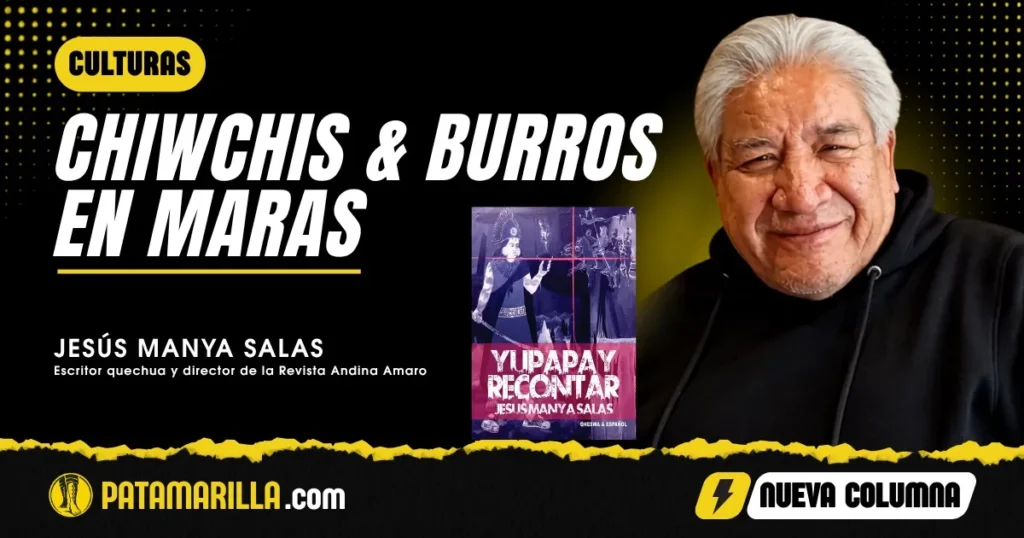 CHIWCHIS & BURROS  EN MARAS