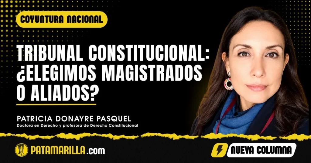Tribunal Constitucional: Elegimos magistrados o aliados?